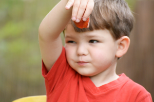 Picky Eater or Problem Feeder?