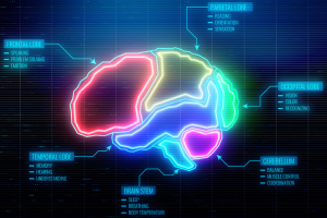 A child's brain open to change