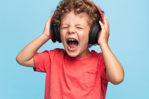 the auditory system and the sensory system