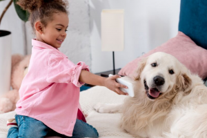 blue light rocket fuel