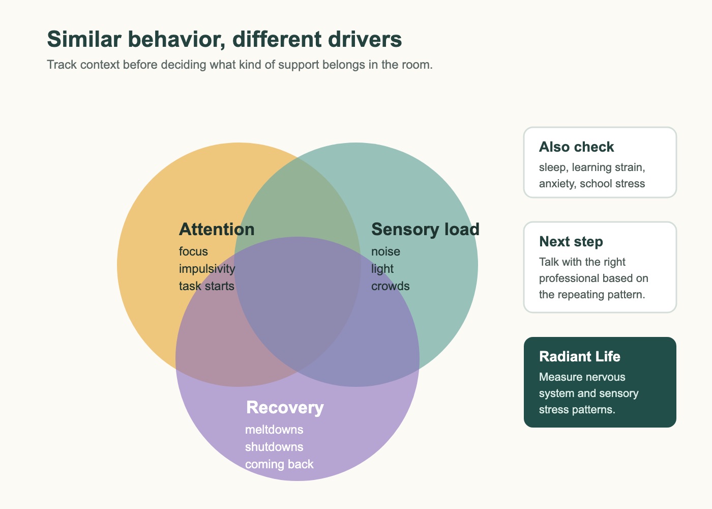 Overlap map showing that attention struggles, emotional recovery, sleep, school stress, anxiety, and sensory load can point to different next conversations.